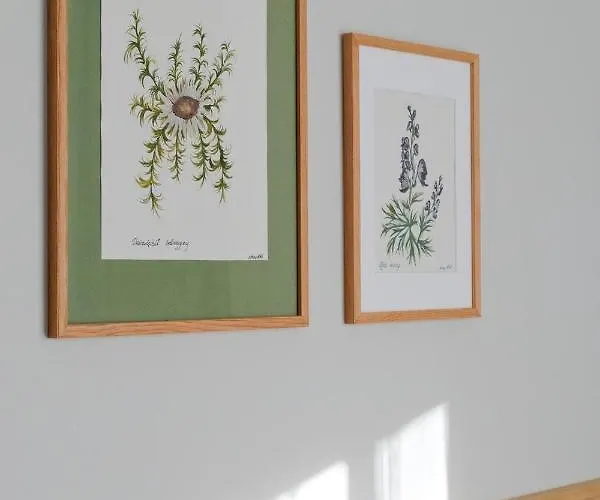 Hotel Mak - Sauna, Centrum 3*